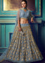 Pewter Grey Designer Soft Net Lehenga Choli with Sequin work and Ruffles Sleeves Clothsvilla