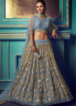 Load image into Gallery viewer, Pewter Grey Designer Soft Net Lehenga Choli with Sequin work and Ruffles Sleeves Clothsvilla