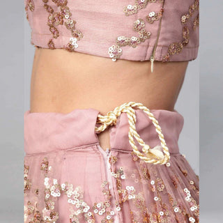 Ruddy Pink Thread, Sequence And Zari Work Lehenga choli ClothsVilla