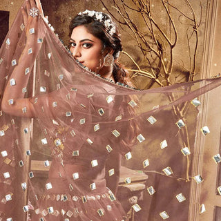 Sepia skin color Soft Net Lehenga choli ClothsVilla