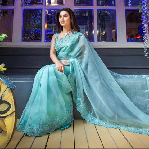 Sky Blue Organza Silk Saree with Beautiful Viscose Embroidery Work and Silk Blouse for Wedding ClothsVilla Main image