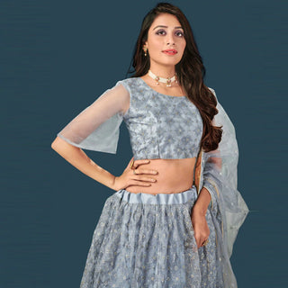 Soft Net Lehenga Choli with Heavy Thread and Sequins Work ClothsVilla