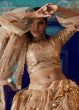 Load image into Gallery viewer, Dusky Beige Designer Soft Net Lehenga Choli with Sequin work Clothsvilla