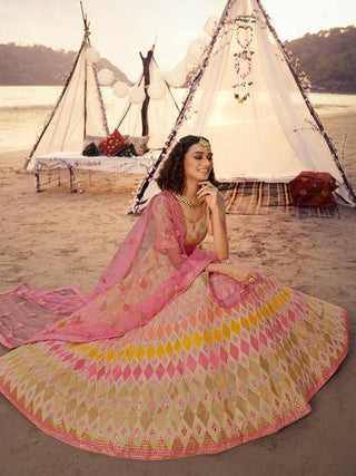 Beige Embroidered Organza Lehenga Clothsvilla