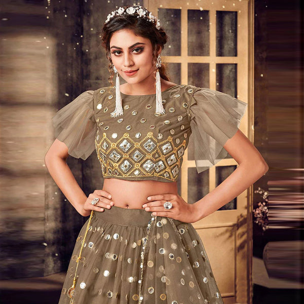Brownish Grey Soft Net Lehenga choli ClothsVilla