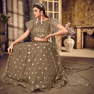 Brownish Grey Soft Net Lehenga choli ClothsVilla