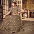 Load image into Gallery viewer, Brownish Grey Soft Net Lehenga choli ClothsVilla