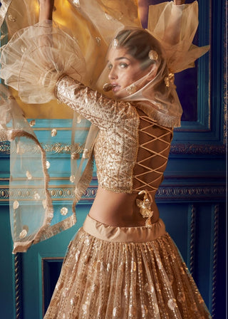 Dusky Beige Designer Soft Net Lehenga Choli with Sequin work Clothsvilla