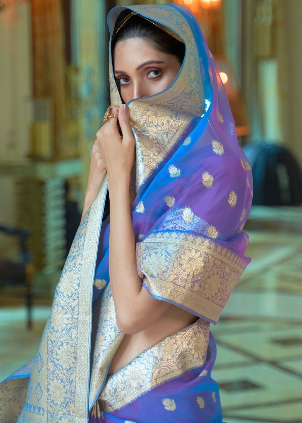 Egyptian Blue Zari Woven Organza Silk Saree Secondary image