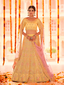 Yellow Embroidered Organza Semi Stitched Lehenga With Unstitched Blouse Clothsvilla