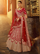 Load image into Gallery viewer, Red Embroidered Velvet Semi Stitched Lehenga With Unstitched Blouse Clothsvilla