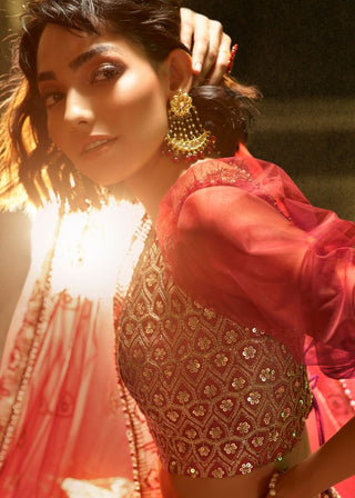 Maroon Soft Net Designer Lehenga Choli with overall Sequins work Clothsvilla
