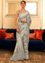Koala Grey Chikankari Weaving Banarasi Cotton Silk Saree Clothsvilla