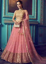 Load image into Gallery viewer, Rouge Pink Designer Soft Net Lehenga Choli with Sequin and Dori work Clothsvilla