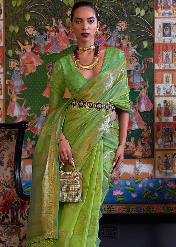 Kelly Green Handloom Woven Dual Tone Organza Silk Saree with Sequins Work Clothsvilla
