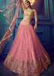 Load image into Gallery viewer, Rouge Pink Designer Soft Net Lehenga Choli with Sequin and Dori work Clothsvilla