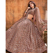 Load image into Gallery viewer, Dark Brown Thread and Sequence work Lehenga choli ClothsVilla