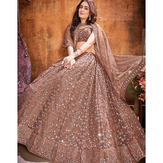Dark Brown Thread and Sequence work Lehenga choli ClothsVilla