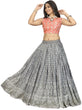 Load image into Gallery viewer, Grey color Lehenga choli with Peach Blouse and Net Dupatta ClothsVilla