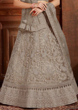 Load image into Gallery viewer, Umber Brown Soft Net Lehenga Choli with Thread, Zarkan &amp; Pearl work Clothsvilla