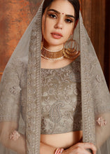 Load image into Gallery viewer, Umber Brown Soft Net Lehenga Choli with Thread, Zarkan &amp; Pearl work Clothsvilla