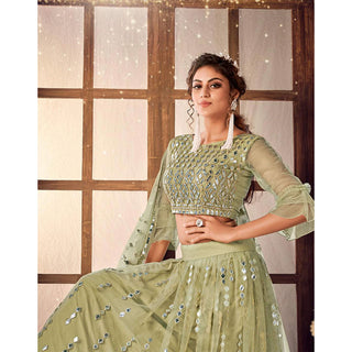 Pale Brown color Soft Net Lehenga choli ClothsVilla