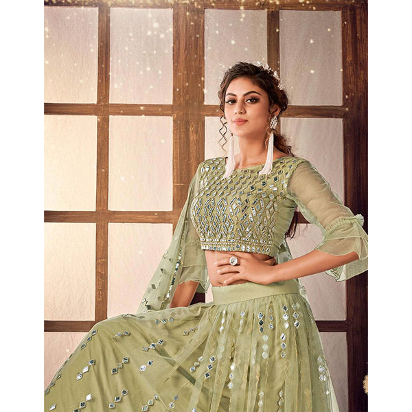 Pale Brown color Soft Net Lehenga choli ClothsVilla