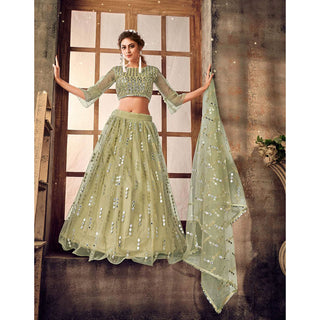 Pale Brown color Soft Net Lehenga choli ClothsVilla