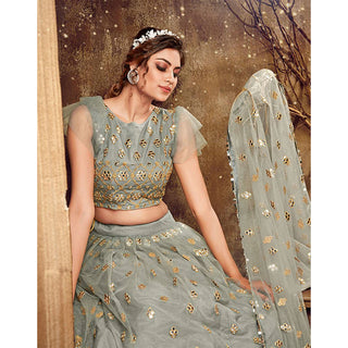 Natural Grey Soft Net Lehenga choli ClothsVilla