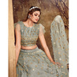 Load image into Gallery viewer, Natural Grey Soft Net Lehenga choli ClothsVilla