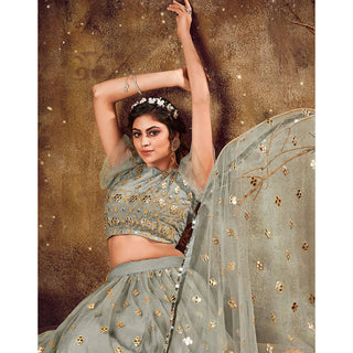 Natural Grey Soft Net Lehenga choli ClothsVilla