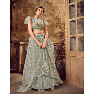 Natural Grey Soft Net Lehenga choli ClothsVilla