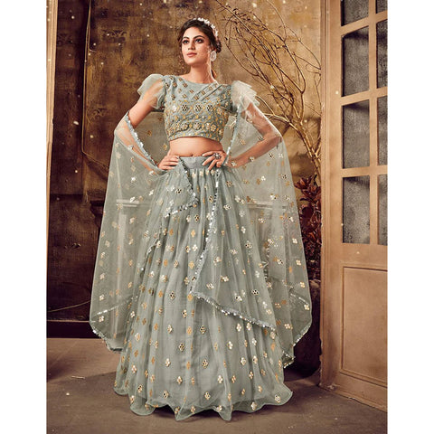 Natural Grey Soft Net Lehenga choli ClothsVilla Main image