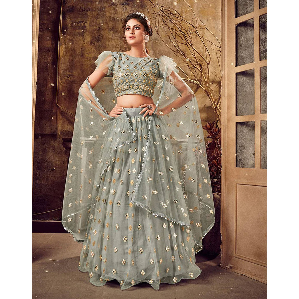 Natural Grey Soft Net Lehenga choli ClothsVilla