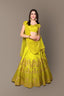 Sophisticated Green Colored Party wear Embroidered Lehenga Choli ClothsVilla
