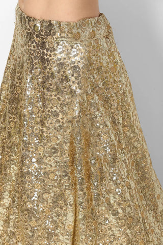 Stunning Golden Colored Party wear Embroidered Netted Lehenga Choli ClothsVilla