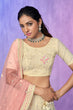 Load image into Gallery viewer, Off White Pakistani Net Lehenga Choli For Indian Festivals &amp; Weddings