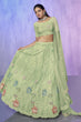 Load image into Gallery viewer, Green Pakistani Net Lehenga Choli For Indian Festivals &amp; Weddings