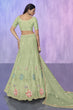 Load image into Gallery viewer, Green Pakistani Net Lehenga Choli For Indian Festivals &amp; Weddings