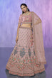 Load image into Gallery viewer, Peach Pakistani Velvet Lehenga Choli For Indian Festivals &amp; Weddings