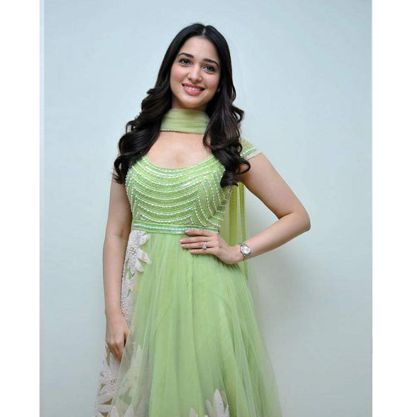 Gorgeous Light Green Thread Embroidered Ready-Made Pleated Gown ClothsVilla