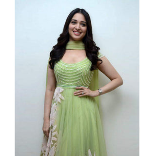 Gorgeous Light Green Thread Embroidered Ready-Made Pleated Gown ClothsVilla