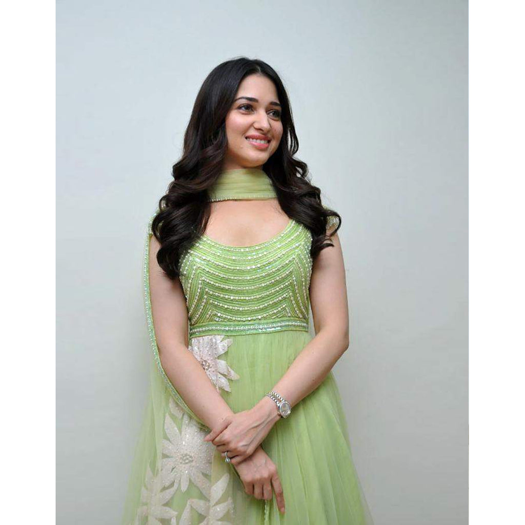 Gorgeous Light Green Thread Embroidered Ready-Made Pleated Gown ClothsVilla