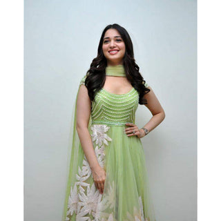 Gorgeous Light Green Thread Embroidered Ready-Made Pleated Gown ClothsVilla