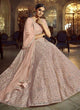 Load image into Gallery viewer, Majestic Peach Dori Work Soft Net base Panelled Lehenga Choli Set Clothsvilla