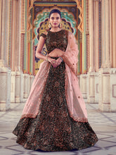 Load image into Gallery viewer, Black Elegant Fur Imported Fabric Semi Stitched Lehenga With  Unstitched Blouse Clothsvilla