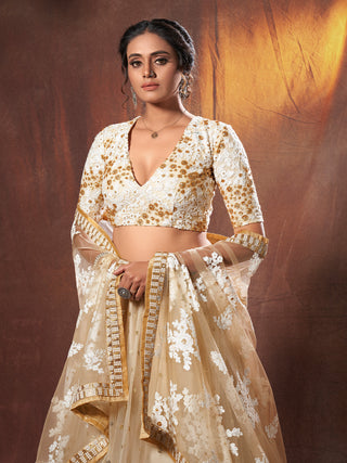 Beige Resham, Zari, Sequins Semi Stitched Lehenga With Unstitched Blouse Clothsvilla