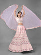 Load image into Gallery viewer, Pink Soft Net Semi Stitched Lehenga With Unstitched Blouse Clothsvilla