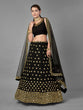 Load image into Gallery viewer, Black Embroidered Georgette Semi Stitched Lehenga With Unstitched Blouse Clothsvilla