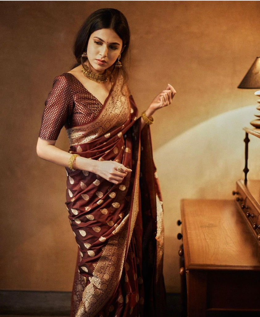 Petrichor Brown Soft Silk Saree With Moiety Blouse Piece ClothsVilla